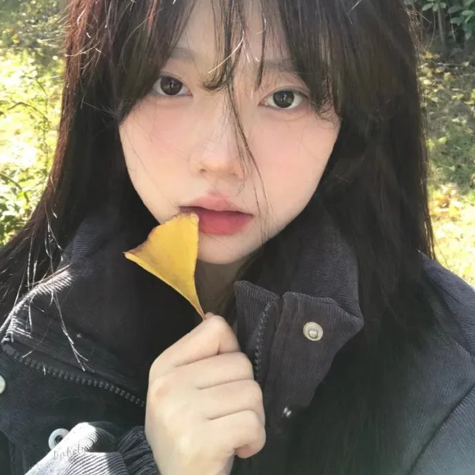 狐狸的夏天2